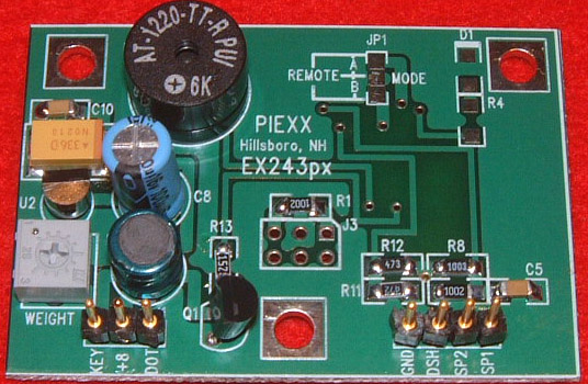 IC-EX243 px